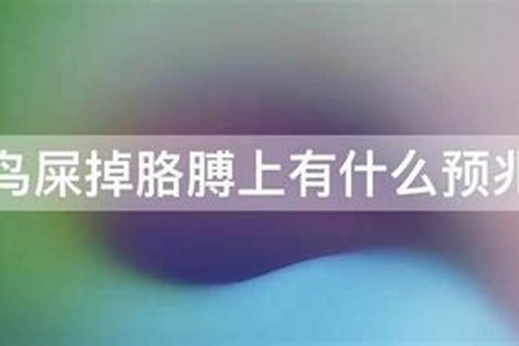 鸟屎掉在胳膊上有什么预兆？