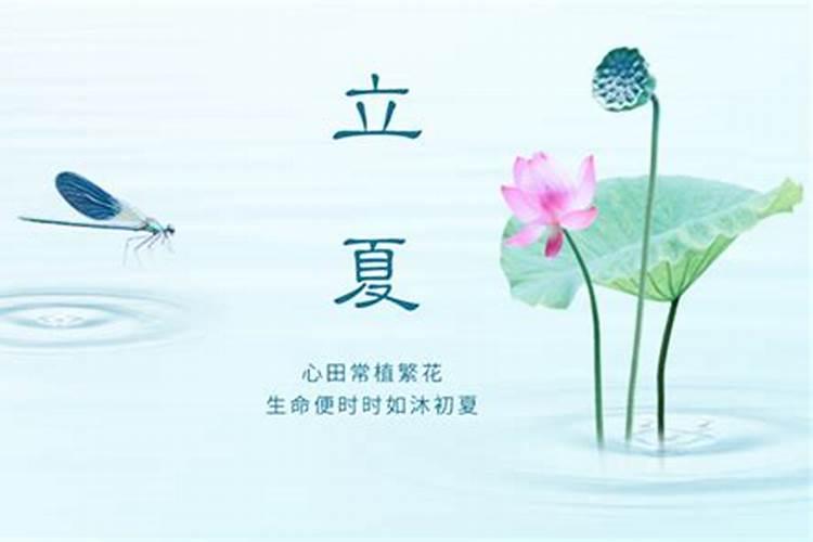 二零零三年几月立夏？