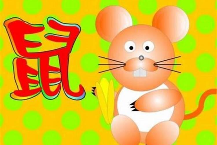 属兔和属龙八字合不合
