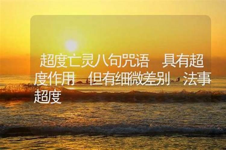 超度亡灵四十九日偈句