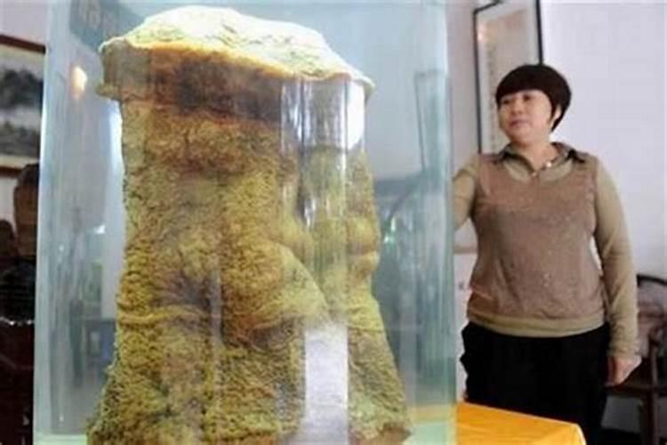 太岁是什么样的？